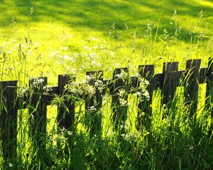 Preview wallpaper fence, grass, field, green
