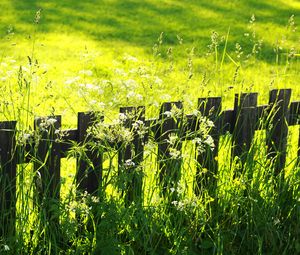 Preview wallpaper fence, grass, field, green