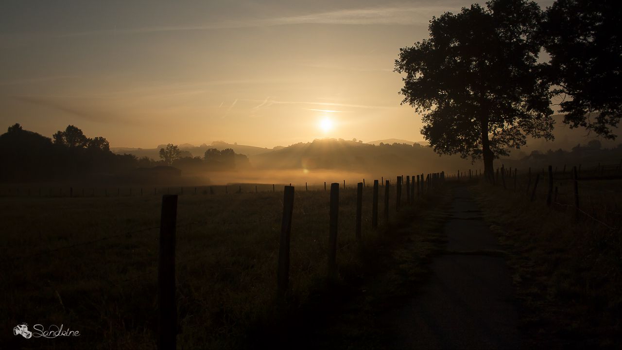 Wallpaper fence, grass, fog, twilight