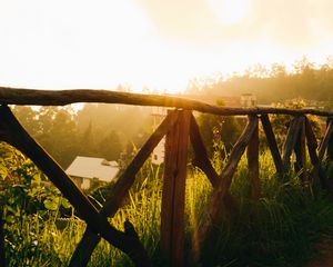 Preview wallpaper fence, grass, houses, trees, rays, sun, nature