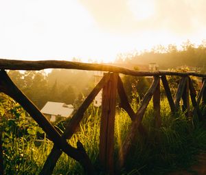 Preview wallpaper fence, grass, houses, trees, rays, sun, nature