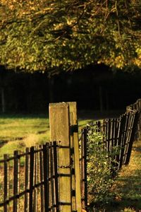 Preview wallpaper fence, grass, trees