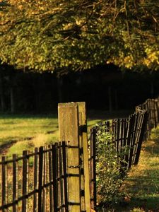 Preview wallpaper fence, grass, trees