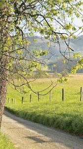 Preview wallpaper fence, grass, trees, walking paths