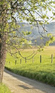 Preview wallpaper fence, grass, trees, walking paths