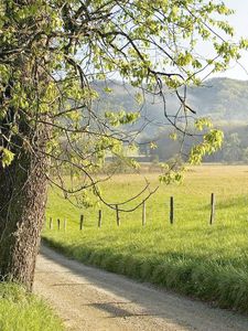 Preview wallpaper fence, grass, trees, walking paths