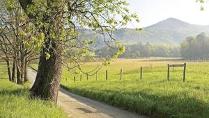 Preview wallpaper fence, grass, trees, walking paths