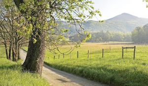 Preview wallpaper fence, grass, trees, walking paths