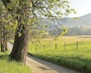 Preview wallpaper fence, grass, trees, walking paths