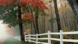 Preview wallpaper fence, leaves, autumn, trees