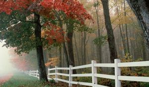 Preview wallpaper fence, leaves, autumn, trees