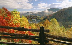 Preview wallpaper fence, logs, autumn, trees, colors