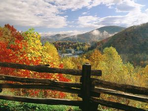 Preview wallpaper fence, logs, autumn, trees, colors