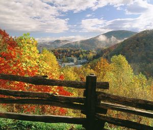 Preview wallpaper fence, logs, autumn, trees, colors