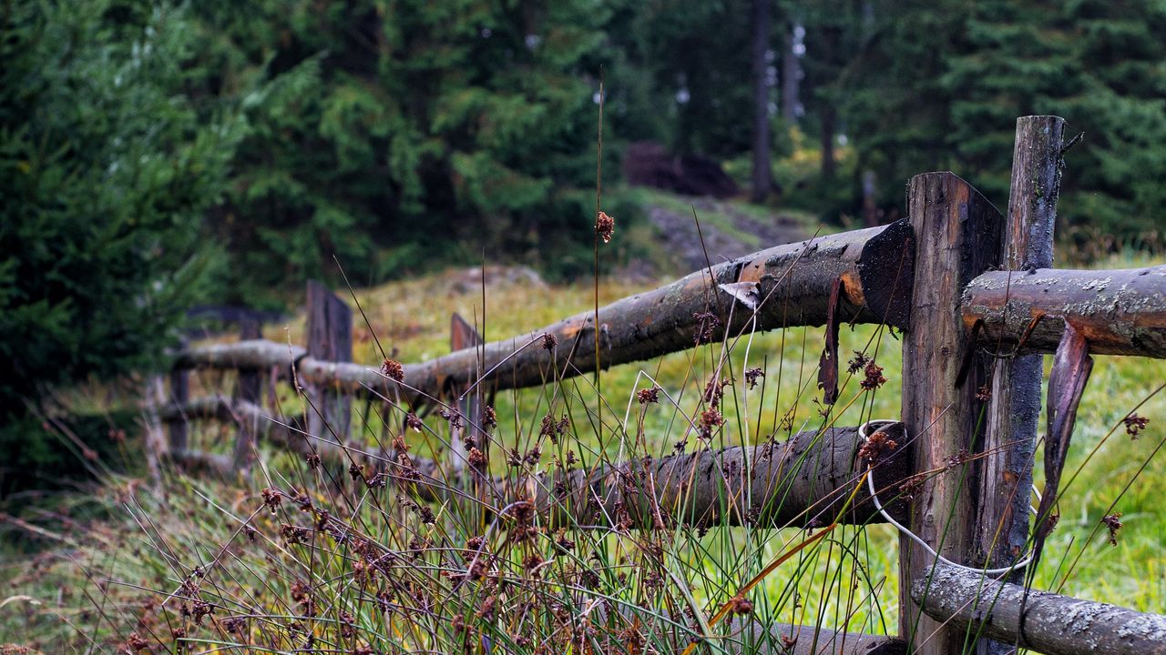 Wallpaper fence, logs, grass, trees
