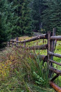 Preview wallpaper fence, logs, grass, trees