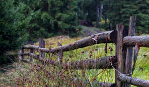 Preview wallpaper fence, logs, grass, trees