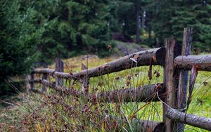 Preview wallpaper fence, logs, grass, trees