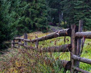 Preview wallpaper fence, logs, grass, trees