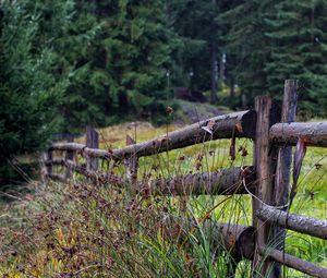 Preview wallpaper fence, logs, grass, trees