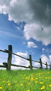 Preview wallpaper fence, meadow, sky, clouds, flowers, dandelions