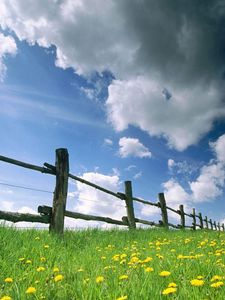 Preview wallpaper fence, meadow, sky, clouds, flowers, dandelions