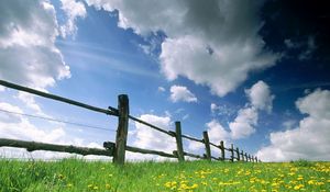 Preview wallpaper fence, meadow, sky, clouds, flowers, dandelions