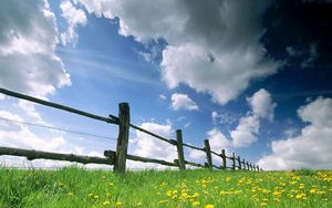 Preview wallpaper fence, meadow, sky, clouds, flowers, dandelions