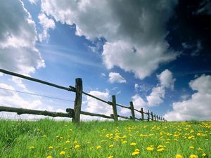 Preview wallpaper fence, meadow, sky, clouds, flowers, dandelions