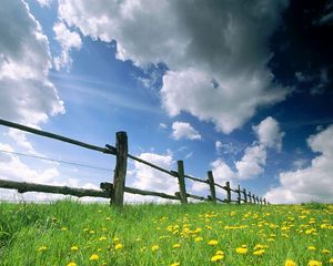 Preview wallpaper fence, meadow, sky, clouds, flowers, dandelions