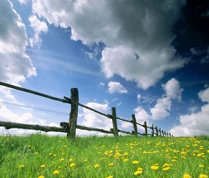 Preview wallpaper fence, meadow, sky, clouds, flowers, dandelions