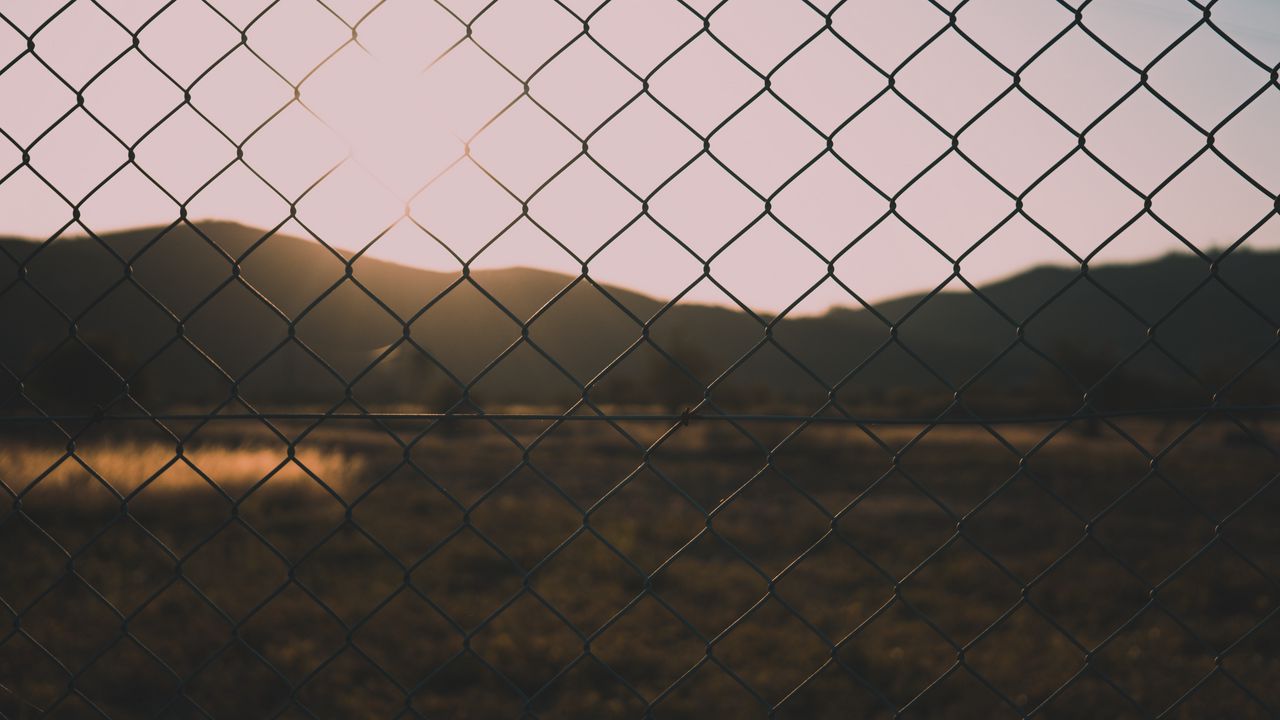 Wallpaper fence, mesh, blur, nature