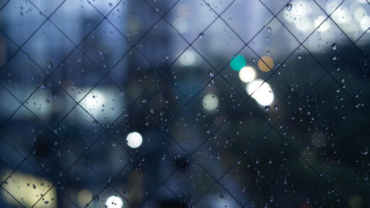 Wallpaper fence, mesh, drops, texture