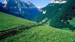 Preview wallpaper fence, mountains, slopes, meadows, greens, pasture, trees, switzerland