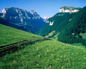 Preview wallpaper fence, mountains, slopes, meadows, greens, pasture, trees, switzerland