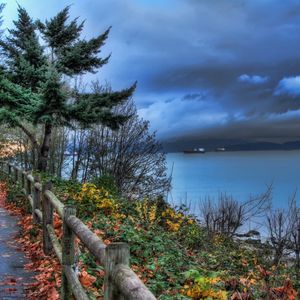 Preview wallpaper fence, park, sea, ships, cloudy