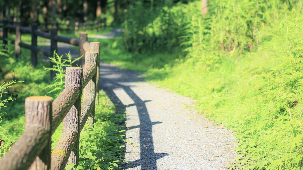 Wallpaper fence, path, trees, landscape, nature, green