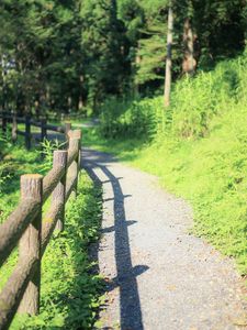 Preview wallpaper fence, path, trees, landscape, nature, green