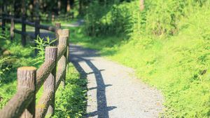 Preview wallpaper fence, path, trees, landscape, nature, green