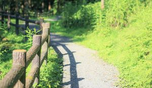 Preview wallpaper fence, path, trees, landscape, nature, green