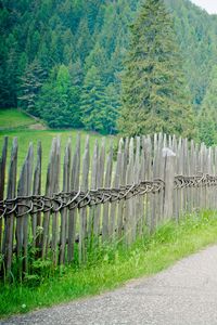 Preview wallpaper fence, road, trees, summer