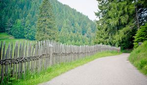 Preview wallpaper fence, road, trees, summer