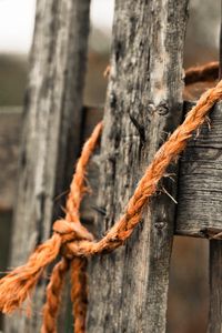 Preview wallpaper fence, rope, knot, old