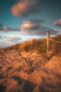 Preview wallpaper fence, sand, grass, beach