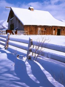 Preview wallpaper fence, snow, horses, farm