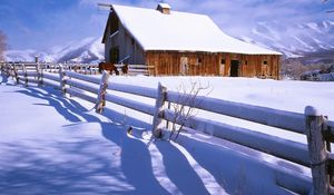 Preview wallpaper fence, snow, horses, farm