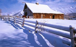 Preview wallpaper fence, snow, horses, farm