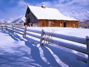 Preview wallpaper fence, snow, horses, farm