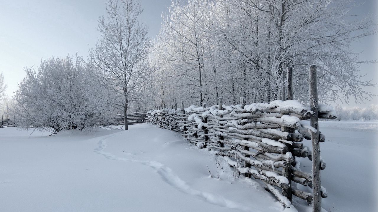Wallpaper fence, snow, winter, tracks, cover