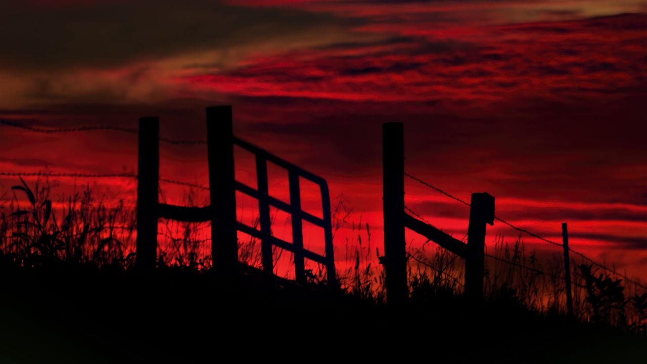 Wallpaper fence, sunset, evening, silhouettes, grass